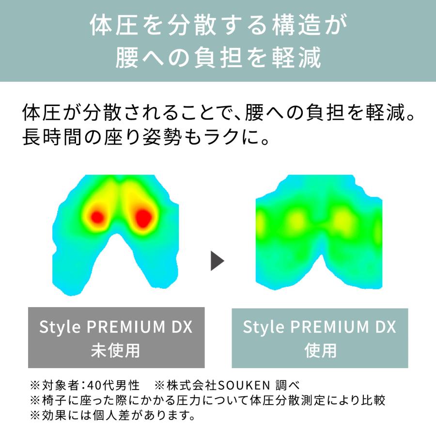 Style（スタイル） ○ポイント10倍！○ 公式ストア スタイルプレミアム