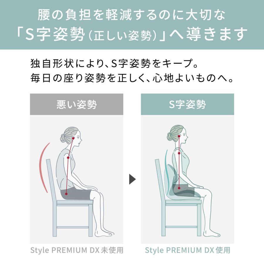 Style（スタイル） ○ポイント10倍！○ 公式ストア スタイルプレミアム