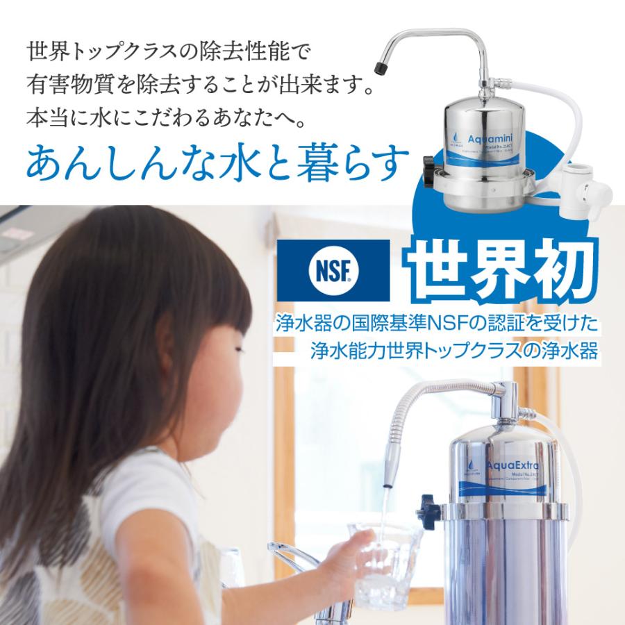 マルチピュア Aquamini 浄水器 ステンレス カウンタートップ 250CT