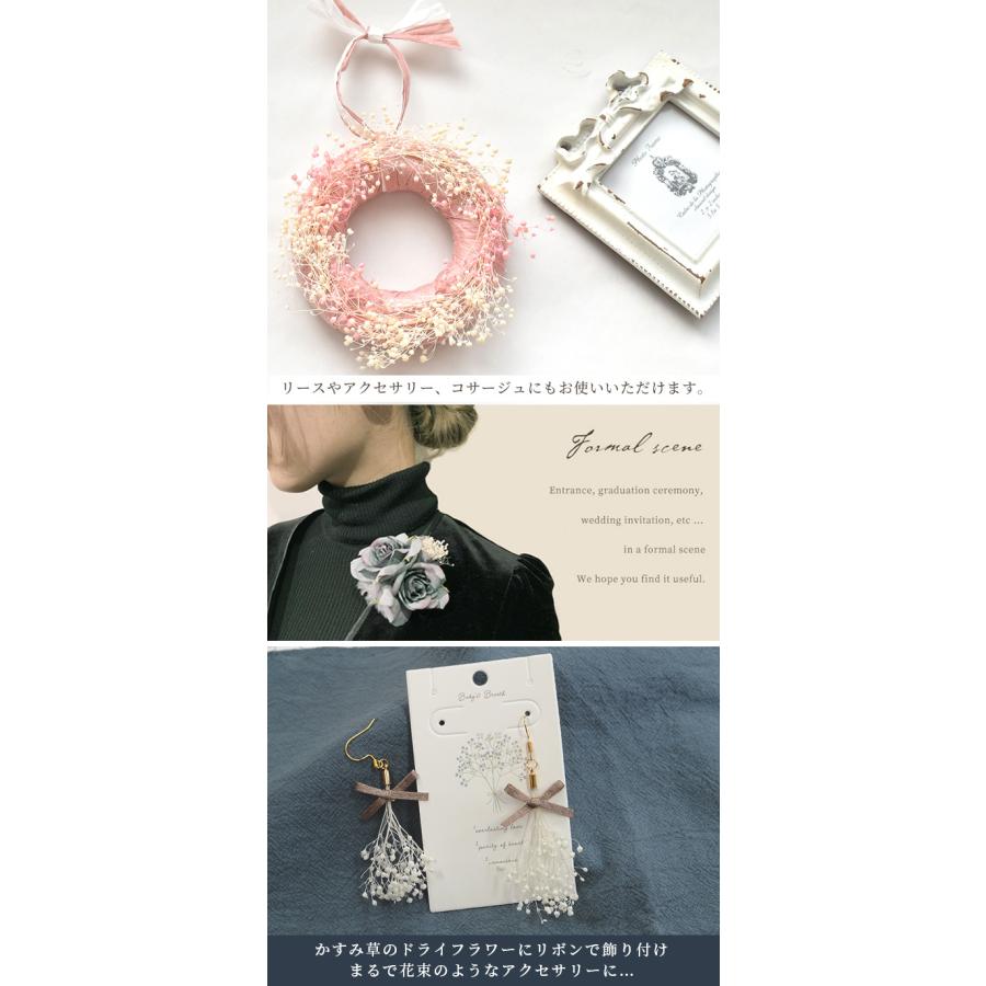 MY mama ドライフラワー かすみ草 全3色 □ レジン ハーバリウム