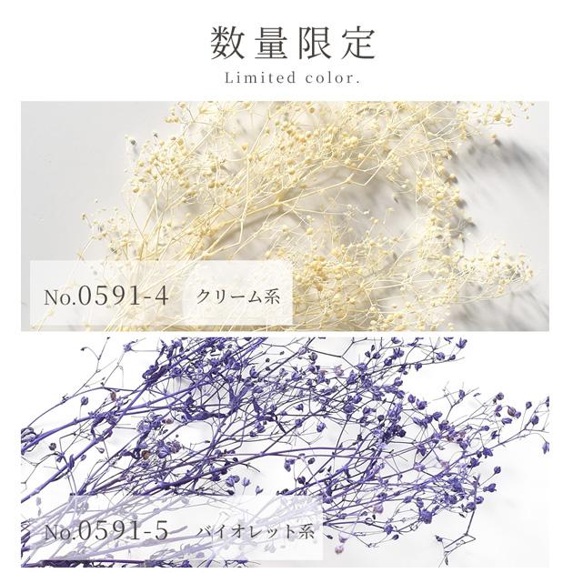 MY mama ドライフラワー かすみ草 全3色 □ レジン ハーバリウム