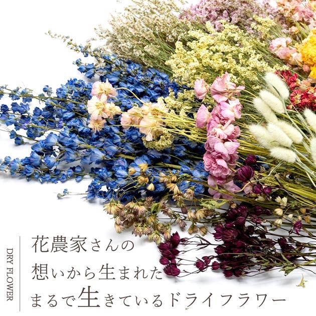 MY mama ドライフラワー レジン 花材 セット 全2種類 □ ケース付き