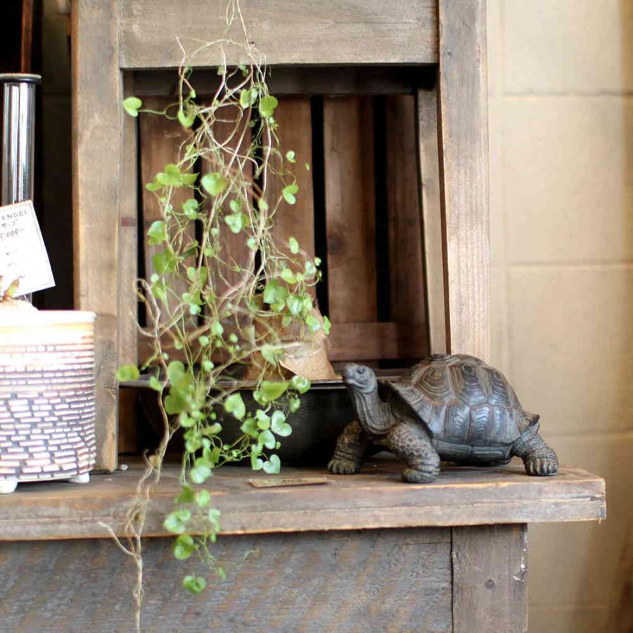 亀 カメ 置物 ペットバンク トータス Pet Bank TORTOISE : インテリア