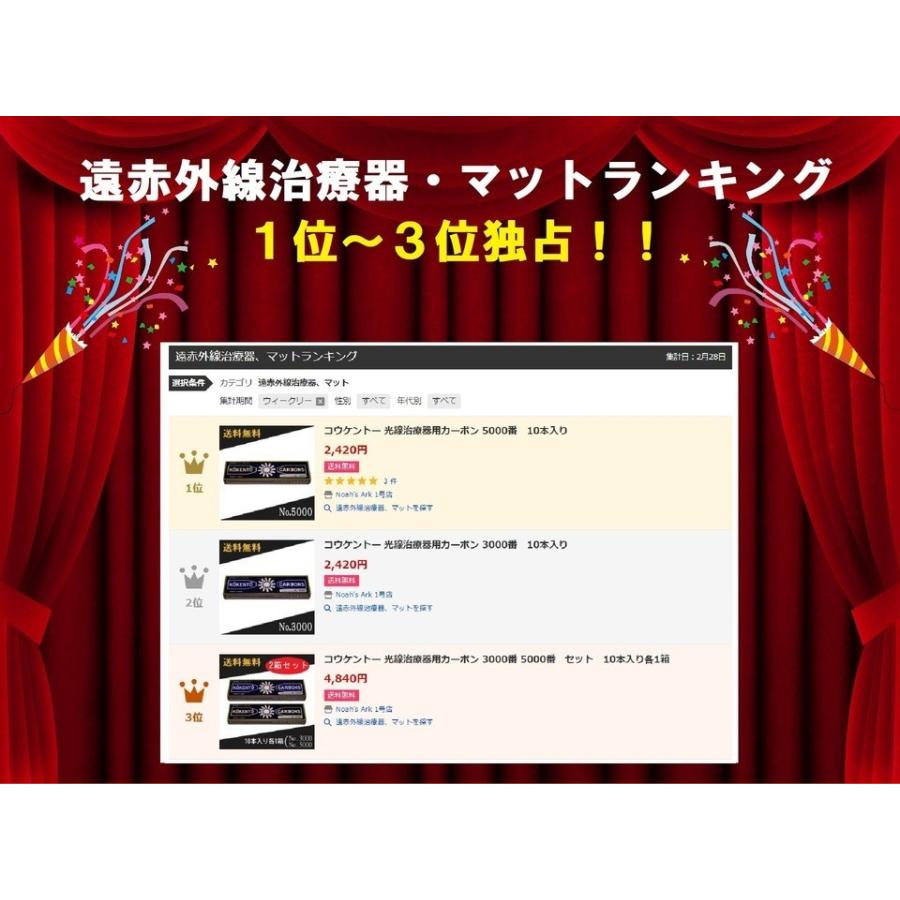 コウケントー 光線治療器用カーボン 3000番 10本入り : Noah's Ark 1号