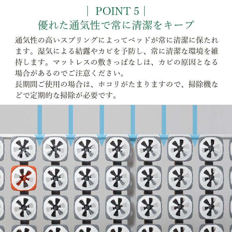 ボディドクター Froli フローリー ポイントサポート ベッド Viado