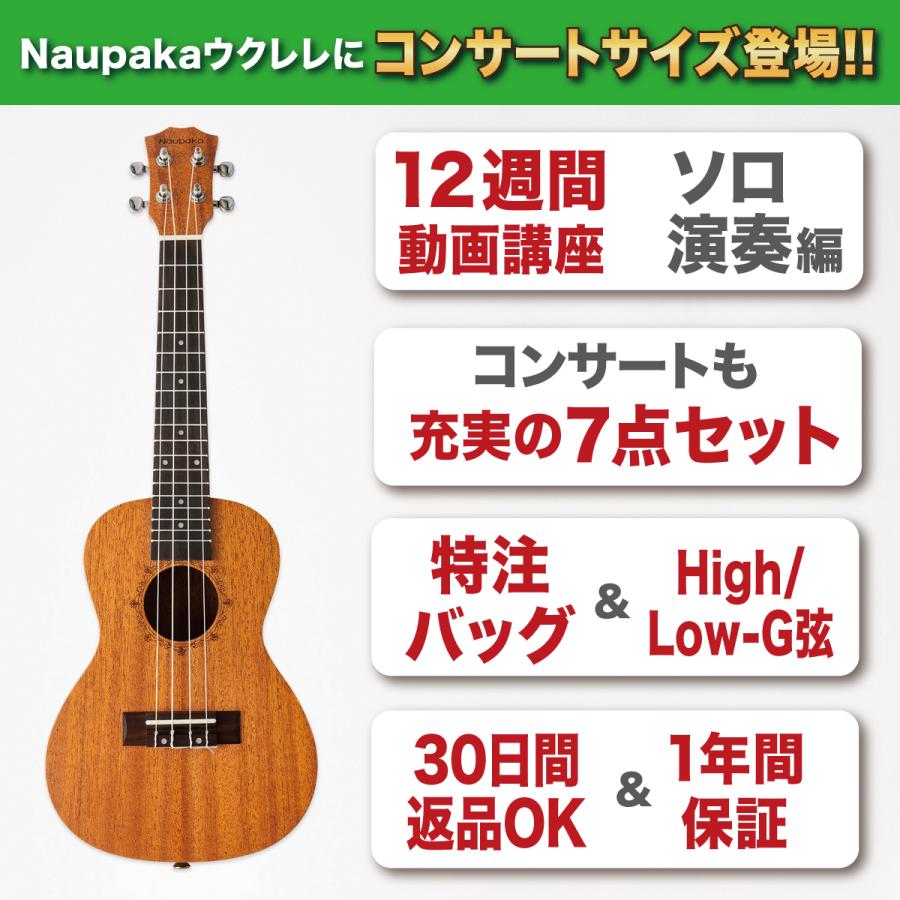 ウクレレ 初心者 コンサート セット 23インチ 12週間動画講座 ソロ演奏