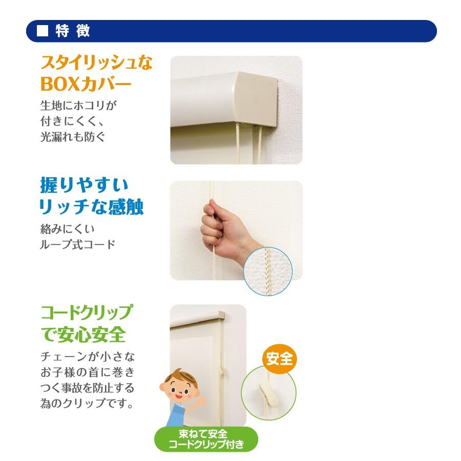 最大☆10%オフクーポン】 ロールスクリーン カバー付き フルネス