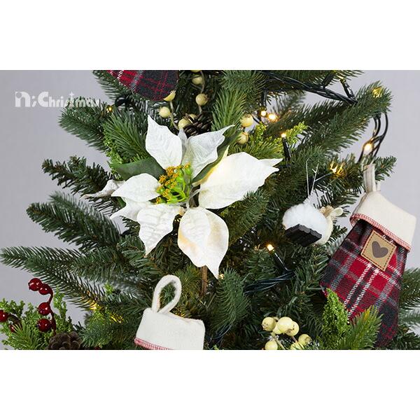 創業70年 老舗クリスマスツリー専門店 プレミアムポインセチア