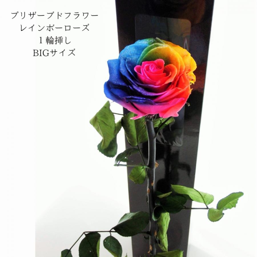 プリザーブドフラワー レインボーローズ ビッグサイズ 茎まで