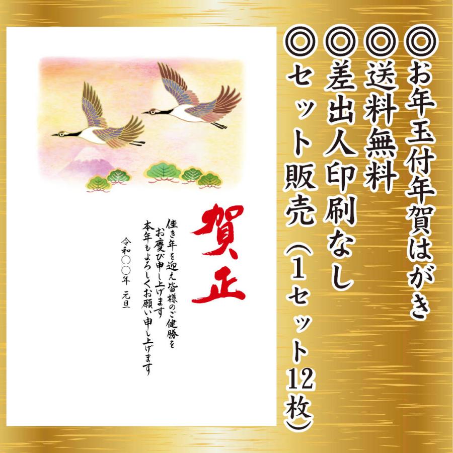 12枚セット 年賀状 豊富な絵柄 ビジネスにも お年玉付き年賀はがき