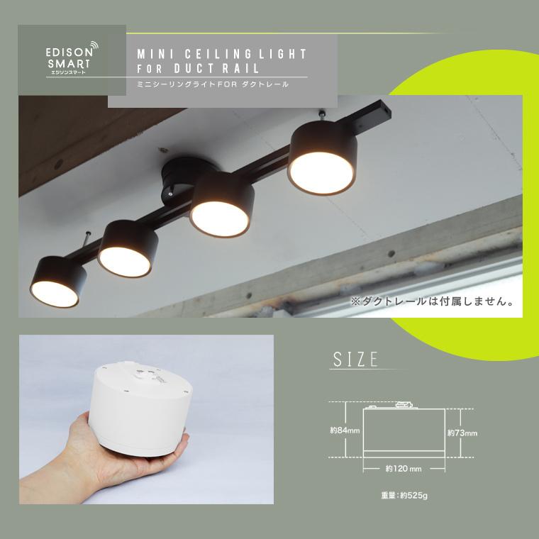 Edison Smart（エジソンスマート） ダクトレール 引掛けシーリング用