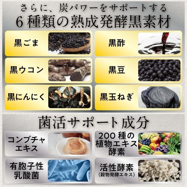 健康たっぷり本舗 ダイエット サプリ クレンズ 炭 菌活 約1ヶ月分/30