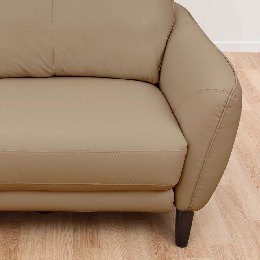 ニトリ（NITORI） ソファー ソファ 2人掛け 電動リクライニングソファ