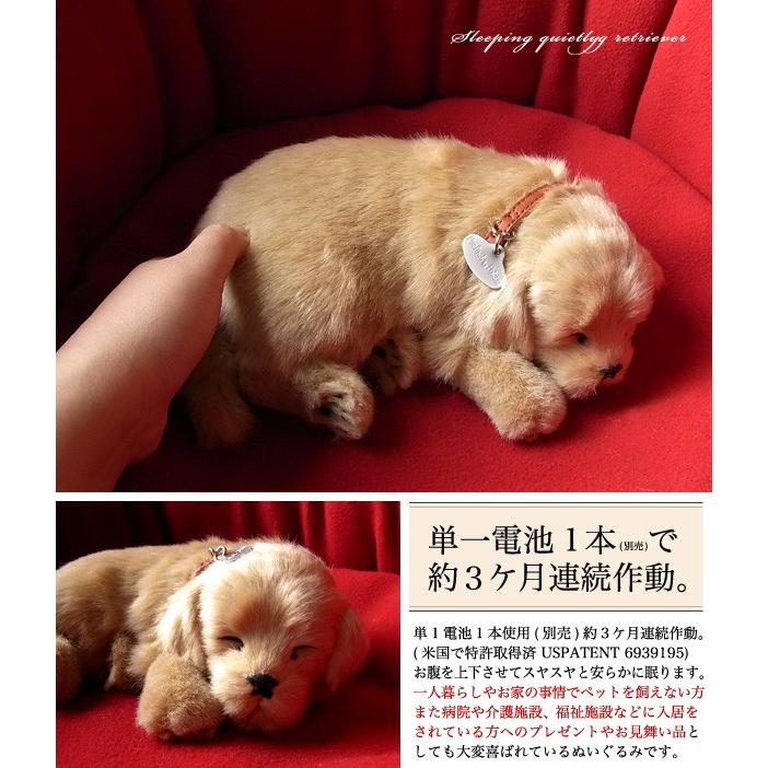 ニニアンドキノ パーフェクトペット (小サイズ) レトリバー ぬいぐるみ