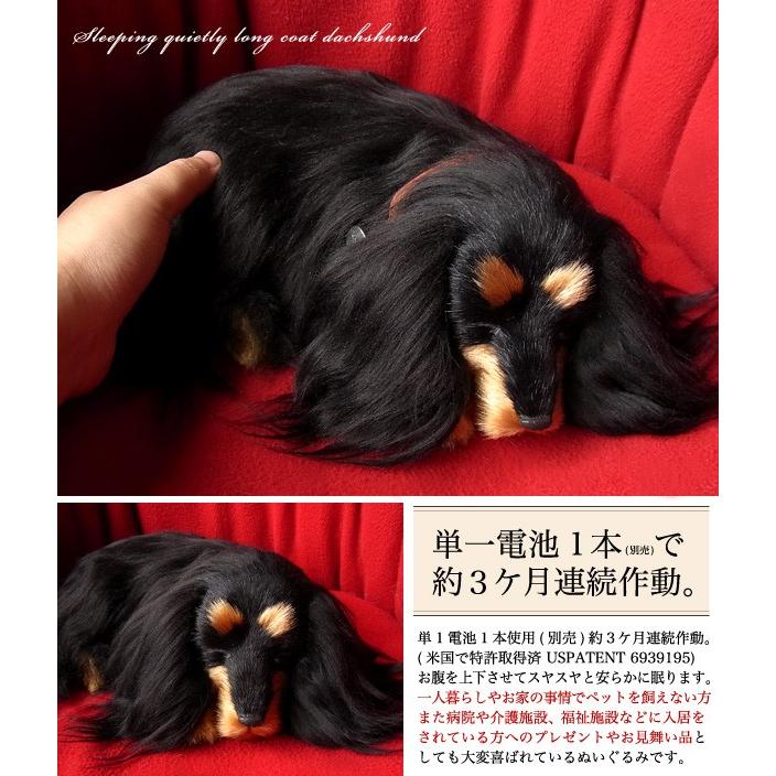 ニニアンドキノ パーフェクトペット (小サイズ) ダックス ロング