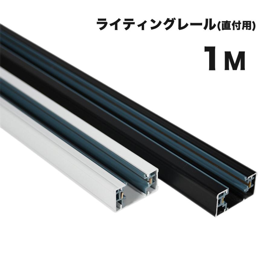 NISSIN LUX ダクトレール 1m 直付型配線ダクトレール ダクトレール