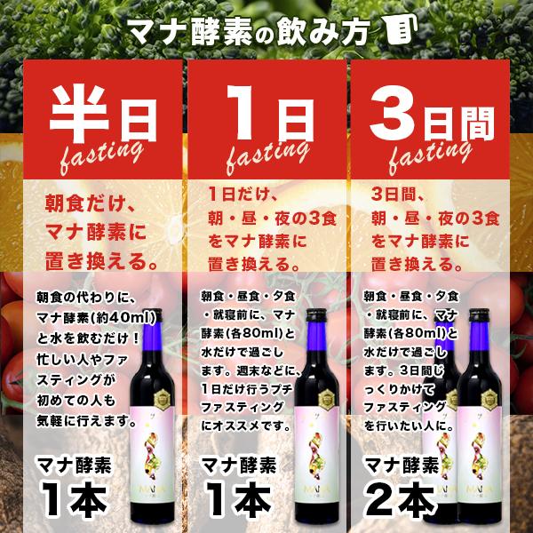 マナ酵素 ファスティングライフ MANA酵素 プログラム付き 酵素飲料