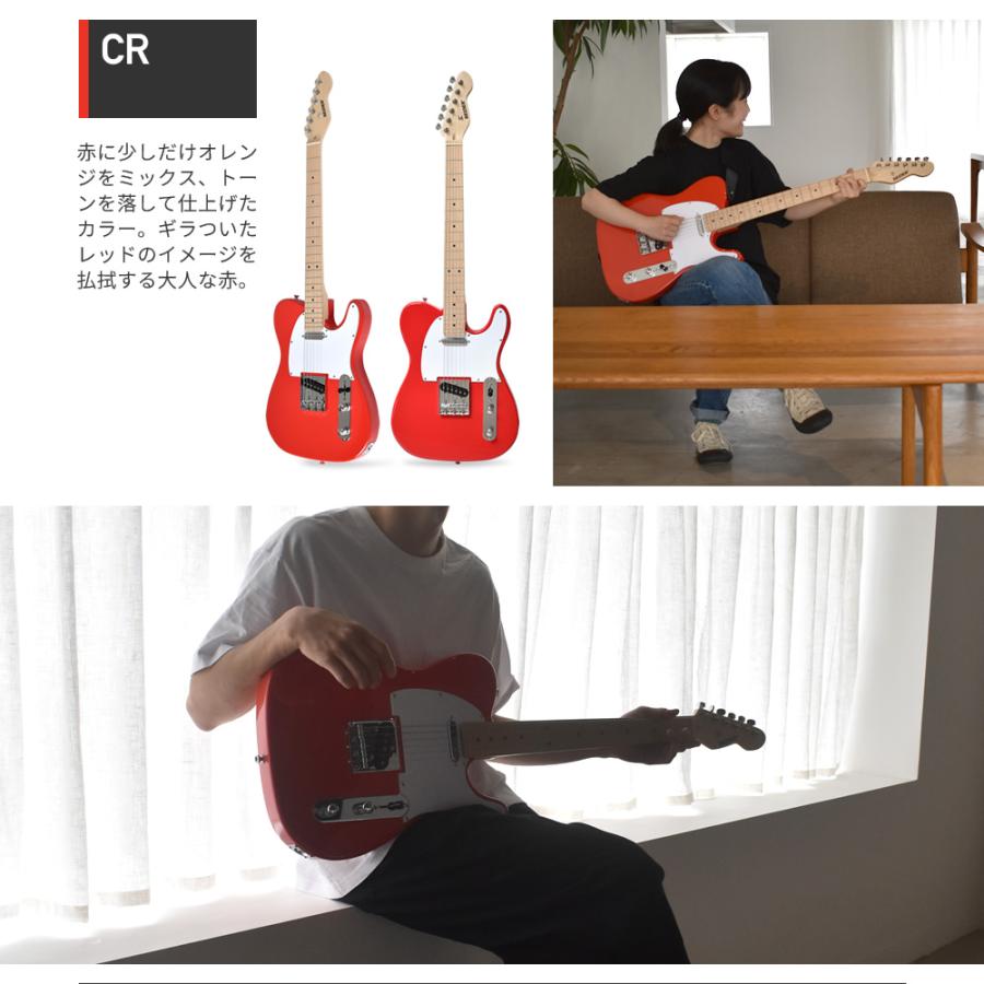 エレキギター テレキャスター タイプ SELDER TL-17 ソフトケース