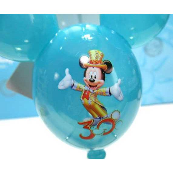 Disney（ディズニー） 送料無料 東京ディズニーリゾート 30周年限定