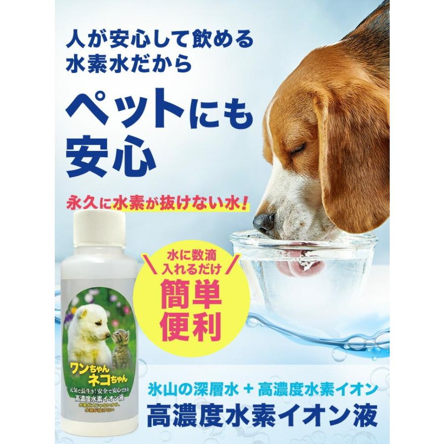 超高濃度水素イオン液【500ppm】300cc 送料無料 超濃縮タイプ 水素が