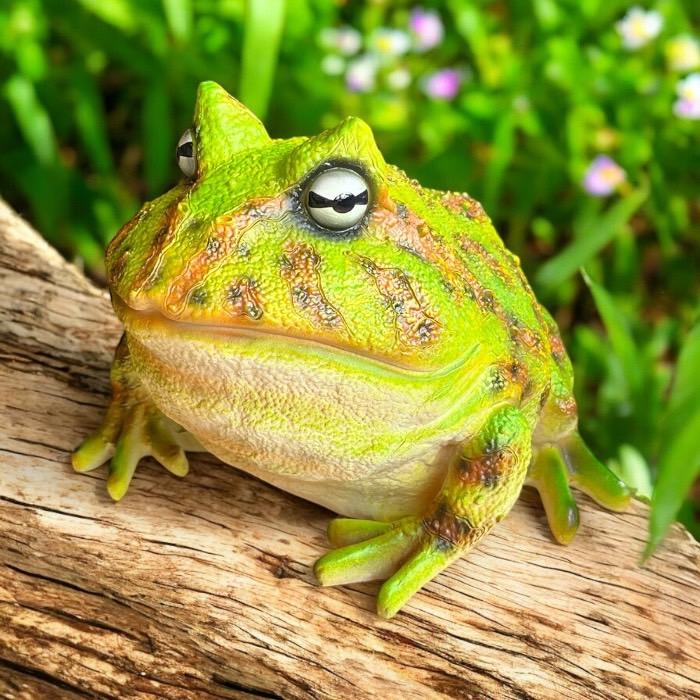 カエルの置物 かえる アマガエル リアル インテリア ガーデニング