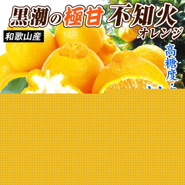 みかん 2kg 黒潮の極甘 不知火 しらぬい 和歌山産 紀南 名産地 ご家庭