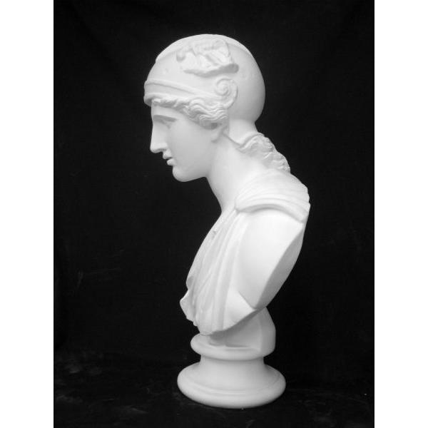 K−125 アマゾン胸像（ローマ） : 石膏像ドットコム - 通販