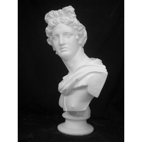 K−127 アポロ胸像 : 石膏像ドットコム - 通販 - Yahoo!ショッピング