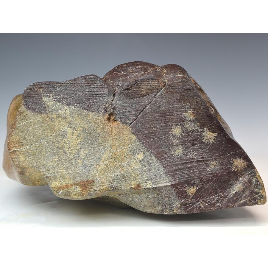 趣楽】 希少 国産 天然特大菊花石 高さ49cm 重量45，1kg 本物