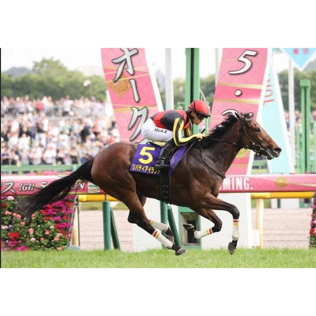 リバティアイランド 三冠制覇特別仕様！ Mサイズ！ ぬいぐるみ