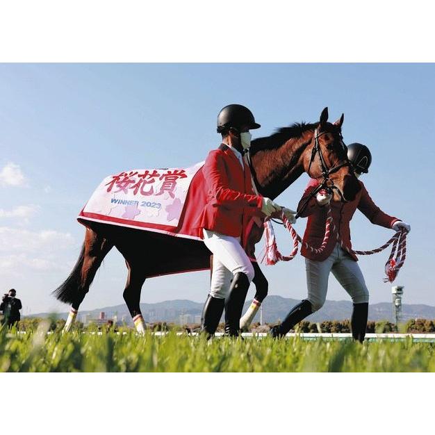 リバティアイランド 三冠制覇特別仕様！ Sサイズ ぬいぐるみ アイドル