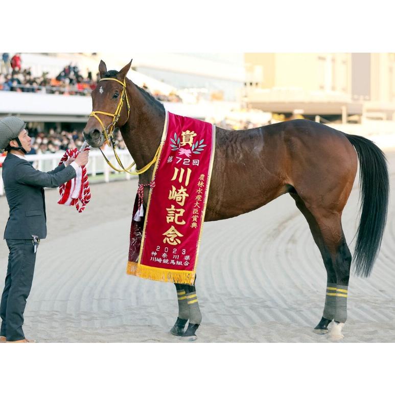 ウシュバテソーロ ぬいぐるみ Mサイズ アイドルホース 競馬 2023ドバイ