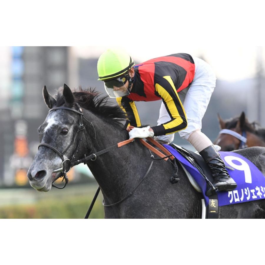 クロノジェネシス ぬいぐるみ Mサイズ 競馬 アイドルホース 第62回宝塚