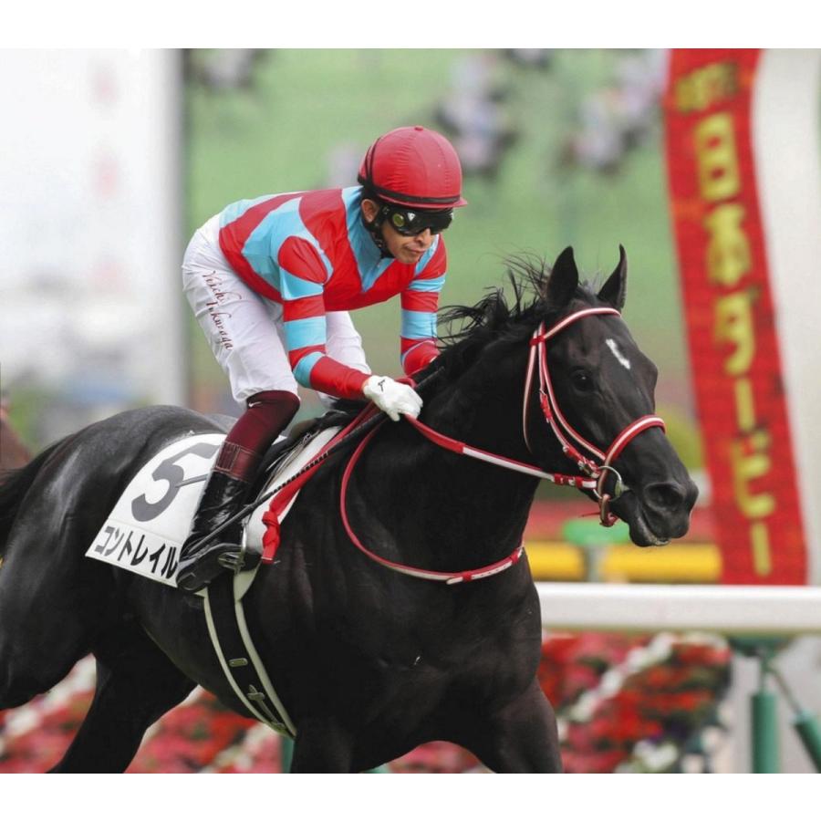 コントレイル ぬいぐるみ Mサイズ アイドルホース 第41回ジャパン