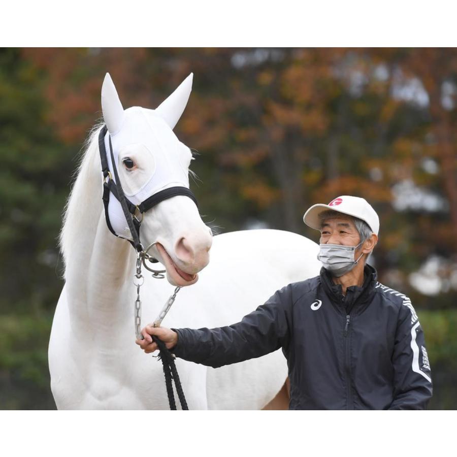 ソダシ（メイクデビュー函館Ver！） Sサイズ アイドルホース 競馬