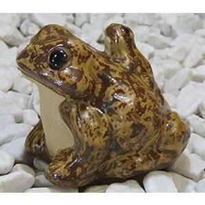 信楽焼 蛙 置物 かえる 陶器 縁起物 かわいい カエル おしゃれ ギフト