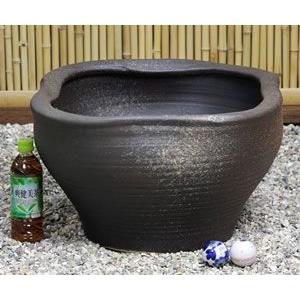 信楽焼 睡蓮鉢 メダカ鉢 おしゃれ めだか鉢 陶器 水鉢 ビオトープ