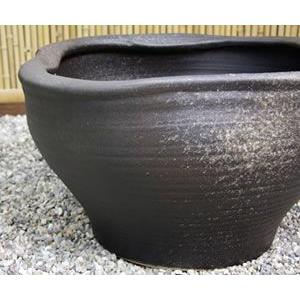 信楽焼 睡蓮鉢 メダカ鉢 おしゃれ めだか鉢 陶器 水鉢 ビオトープ