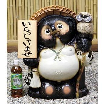 信楽焼 17号ふくろう付き表札狸 名前入れ 福を呼ぶ縁起物 たぬき