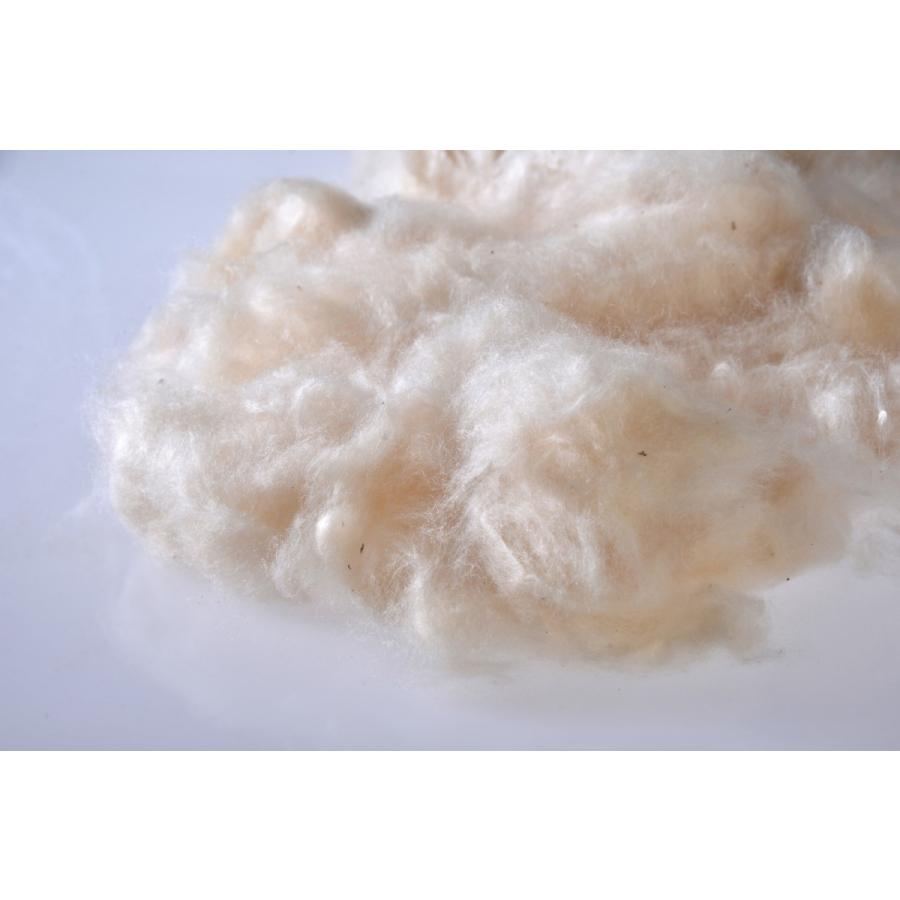 座禅 ざふ 丸座布団 ヨガ yoga クッション ザフ 禅 日本製 30センチ幅