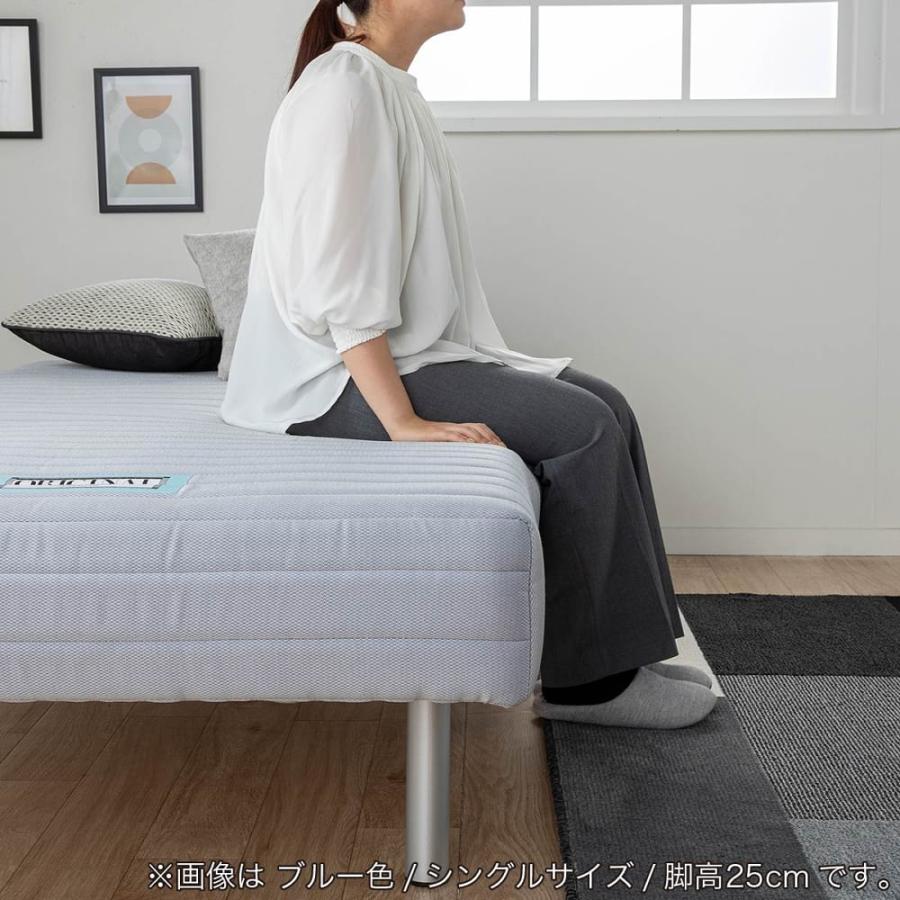 フランスベッド（FRANCEBED） シングルベッド ミハシー 脚高250mm