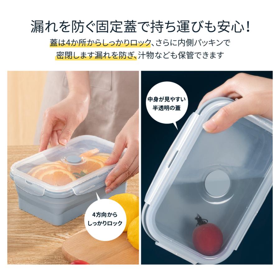 3点セット】折りたたみフードコンテナ 冷凍・電子レンジOK 密閉 密封