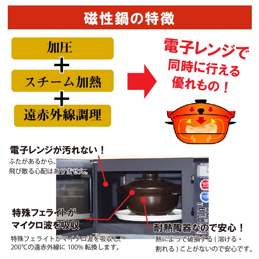磁性鍋 鍋 電子レンジ 電子レンジ専用調理器 両手鍋 Mサイズ 鍋セット