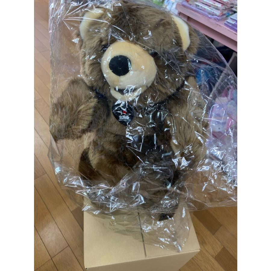 エゾ熊 カミングベアBIG 北海道限定☆愛ラブHOKKAIDO ぬいぐるみ ＜立