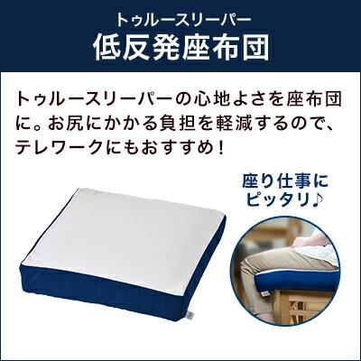 トゥルースリーパー（True Sleeper） 2/25 17:00まで ショップジャパン