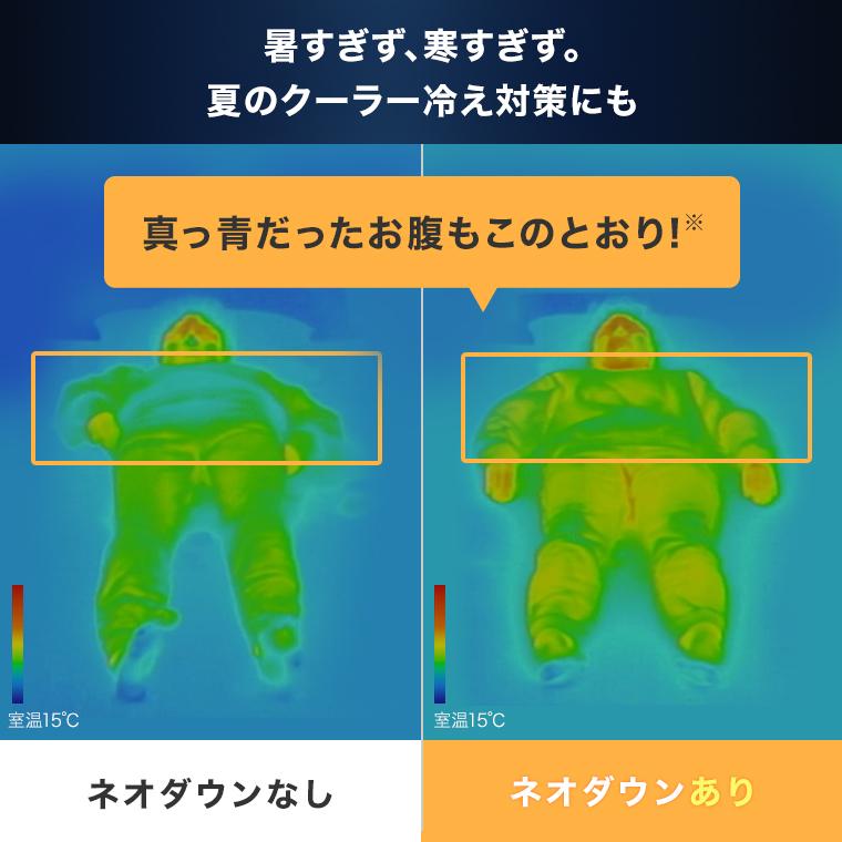 トゥルースリーパー（True Sleeper） 肌掛け布団 ネオダウン掛け布団 2