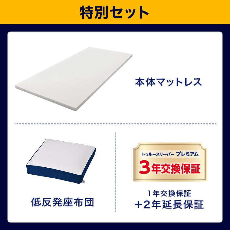 トゥルースリーパー（True Sleeper） 2/25 17:00まで ショップジャパン