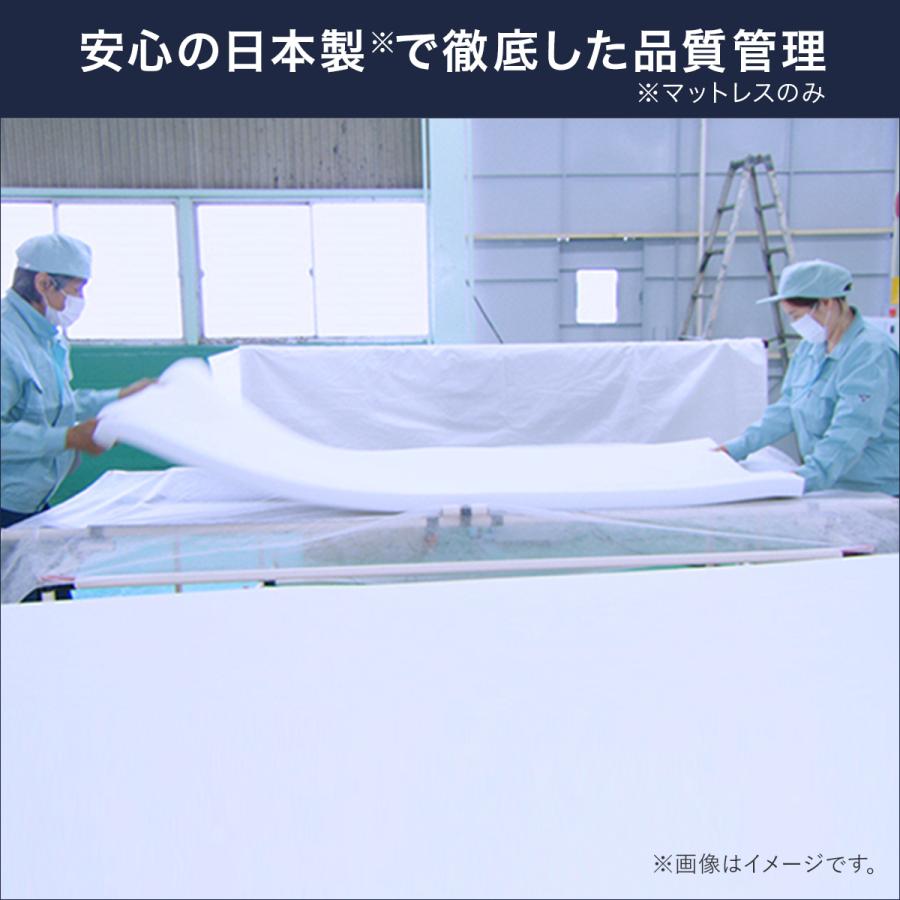 トゥルースリーパー（True Sleeper） プレミアメルティスト 2枚セット