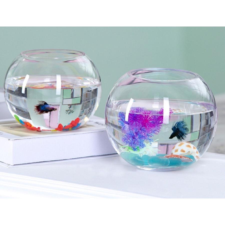 25cm 金魚鉢 ガラス ボール 特大 丸い 花瓶 ガラス花器 テラリウム