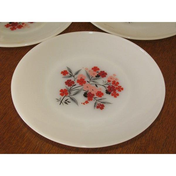 FIREKING ファイヤーキング プリムローズ ディナープレート 23cm : SK